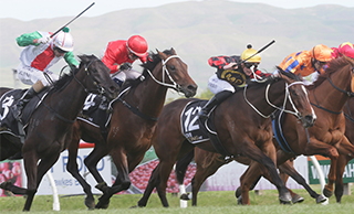 Unbeaten Aegon (NZ) dominates the Group Two Dundeel at Arrowfield Hawke’s Bay Guineas (1400m).
